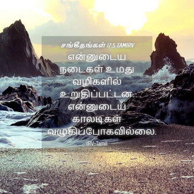 Picture 04 - சங்கீதங்கள் 17:5 TAMIRV - என்னுடைய நடைகள் - Bible Verse Picture