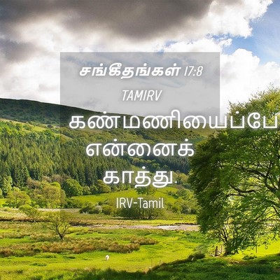 Picture 04 - சங்கீதங்கள் 17:8 TAMIRV - கண்மணியைப்போல் - Bible Verse Picture