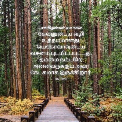 Picture 04 - சங்கீதங்கள் 18:30 TAMIRV - தேவனுடைய வழி - Bible Verse Picture