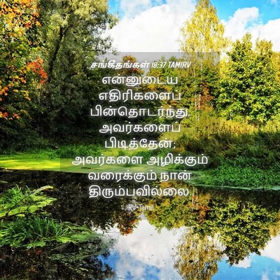 Picture 04 - சங்கீதங்கள் 18:37 TAMIRV - என்னுடைய - Bible Verse Picture