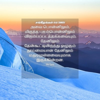 Picture 04 - சங்கீதங்கள் 19:10 TAMIRV - அவை பொன்னிலும், - Bible Verse Picture