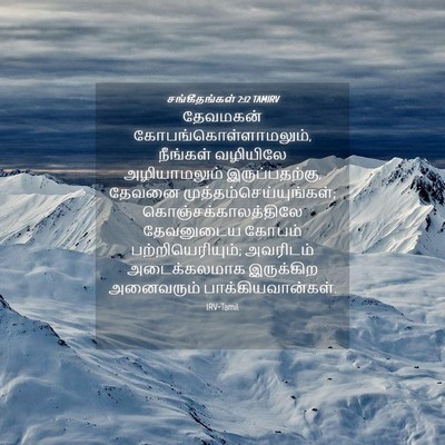Picture 04 - சங்கீதங்கள் 2:12 TAMIRV - தேவமகன் - Bible Verse Picture