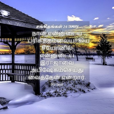 Picture 04 - சங்கீதங்கள் 2:6 TAMIRV - நான் என்னுடைய - Bible Verse Picture