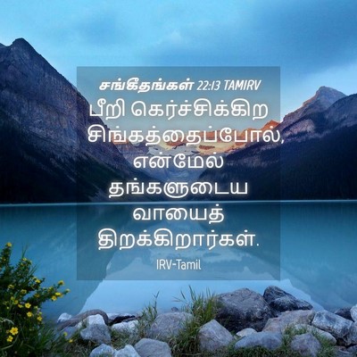 Picture 04 - சங்கீதங்கள் 22:13 TAMIRV - பீறி - Bible Verse Picture