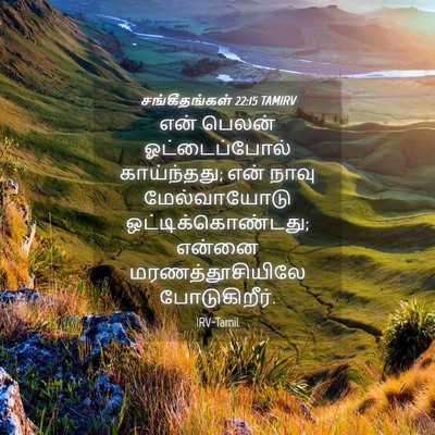 Picture 04 - சங்கீதங்கள் 22:15 TAMIRV - என் பெலன் - Bible Verse Picture