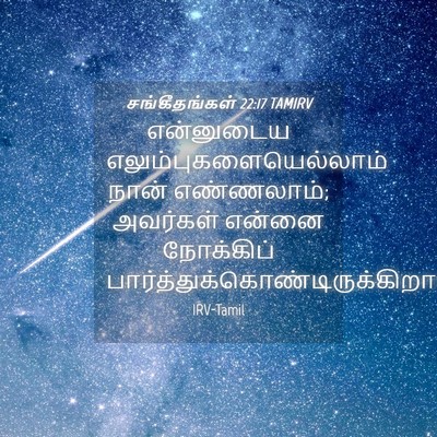 Picture 04 - சங்கீதங்கள் 22:17 TAMIRV - என்னுடைய - Bible Verse Picture