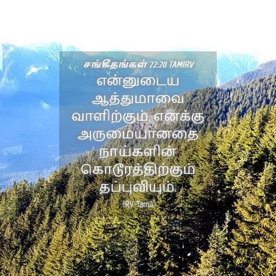 Picture 04 - சங்கீதங்கள் 22:20 TAMIRV - என்னுடைய - Bible Verse Picture