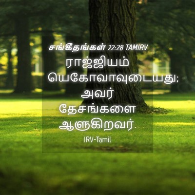 Picture 04 - சங்கீதங்கள் 22:28 TAMIRV - ராஜ்ஜியம் - Bible Verse Picture