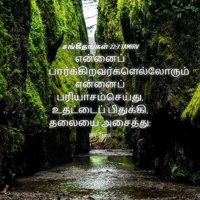 Picture 04 - சங்கீதங்கள் 22:7 TAMIRV - என்னைப் - Bible Verse Picture