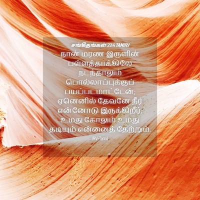 Picture 04 - சங்கீதங்கள் 23:4 TAMIRV - நான் மரண இருளின் - Bible Verse Picture