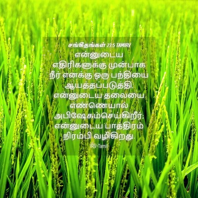 Picture 04 - சங்கீதங்கள் 23:5 TAMIRV - என்னுடைய - Bible Verse Picture