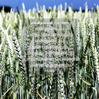 Picture 04 - சங்கீதங்கள் 25:18 TAMIRV - என்னுடைய - Bible Verse Picture