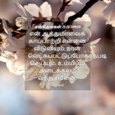 Picture 04 - சங்கீதங்கள் 25:20 TAMIRV - என் ஆத்துமாவைக் - Bible Verse Picture
