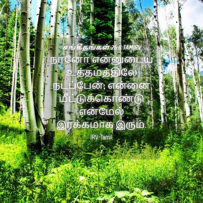Picture 04 - சங்கீதங்கள் 26:11 TAMIRV - நானோ என்னுடைய - Bible Verse Picture