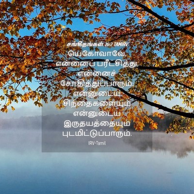 Picture 04 - சங்கீதங்கள் 26:2 TAMIRV - யெகோவாவே, என்னைப் - Bible Verse Picture