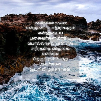 Picture 04 - சங்கீதங்கள் 27:2 TAMIRV - என்னுடைய - Bible Verse Picture