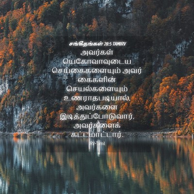Picture 04 - சங்கீதங்கள் 28:5 TAMIRV - அவர்கள் - Bible Verse Picture