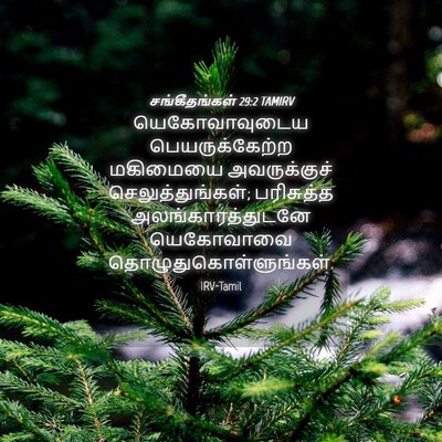 Picture 04 - சங்கீதங்கள் 29:2 TAMIRV - யெகோவாவுடைய - Bible Verse Picture