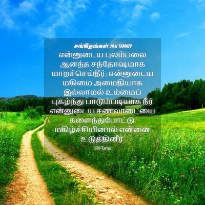 Picture 04 - சங்கீதங்கள் 30:11 TAMIRV - என்னுடைய புலம்பலை - Bible Verse Picture
