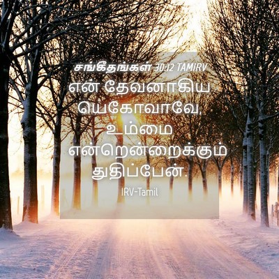 Picture 04 - சங்கீதங்கள் 30:12 TAMIRV - என் தேவனாகிய - Bible Verse Picture