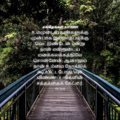 Picture 04 - சங்கீதங்கள் 31:22 TAMIRV - உம்முடைய - Bible Verse Picture