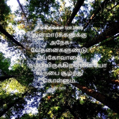 Picture 04 - சங்கீதங்கள் 32:10 TAMIRV -  - Bible Verse Picture