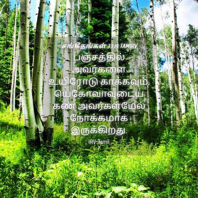Picture 04 - சங்கீதங்கள் 33:19 TAMIRV - பஞ்சத்தில் - Bible Verse Picture