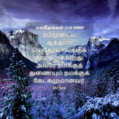 Picture 04 - சங்கீதங்கள் 33:20 TAMIRV - நம்முடைய ஆத்துமா - Bible Verse Picture