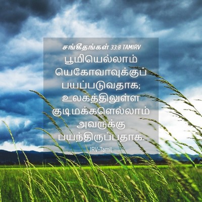 Picture 04 - சங்கீதங்கள் 33:8 TAMIRV - பூமியெல்லாம் - Bible Verse Picture