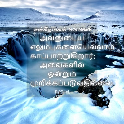 Picture 04 - சங்கீதங்கள் 34:20 TAMIRV - அவனுடைய - Bible Verse Picture