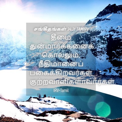 Picture 04 - சங்கீதங்கள் 34:21 TAMIRV - தீமை - Bible Verse Picture