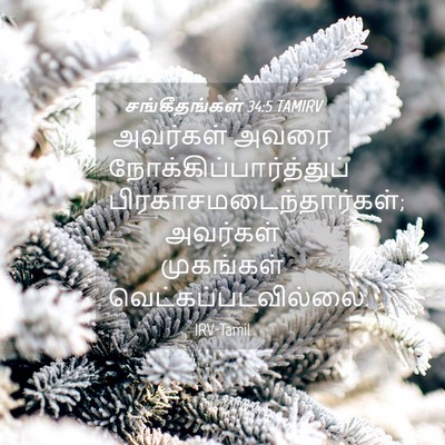 Picture 04 - சங்கீதங்கள் 34:5 TAMIRV - அவர்கள் அவரை - Bible Verse Picture
