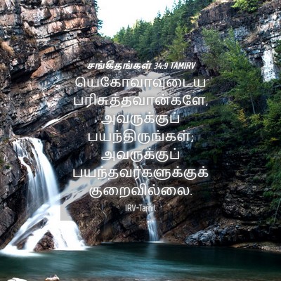 Picture 04 - சங்கீதங்கள் 34:9 TAMIRV - யெகோவாவுடைய - Bible Verse Picture