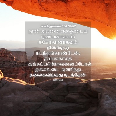 Picture 04 - சங்கீதங்கள் 35:14 TAMIRV - நான் அவனை - Bible Verse Picture