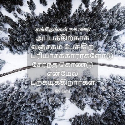 Picture 04 - சங்கீதங்கள் 35:16 TAMIRV - அப்பத்திற்காக - Bible Verse Picture