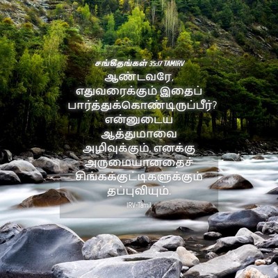 Picture 04 - சங்கீதங்கள் 35:17 TAMIRV - ஆண்டவரே, - Bible Verse Picture