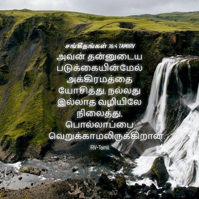 Picture 04 - சங்கீதங்கள் 36:4 TAMIRV - அவன் தன்னுடைய - Bible Verse Picture