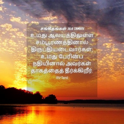Picture 04 - சங்கீதங்கள் 36:8 TAMIRV - உமது ஆலயத்திலுள்ள - Bible Verse Picture