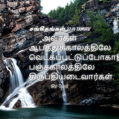 Picture 04 - சங்கீதங்கள் 37:19 TAMIRV - அவர்கள் - Bible Verse Picture