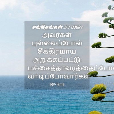 Picture 04 - சங்கீதங்கள் 37:2 TAMIRV - அவர்கள் - Bible Verse Picture