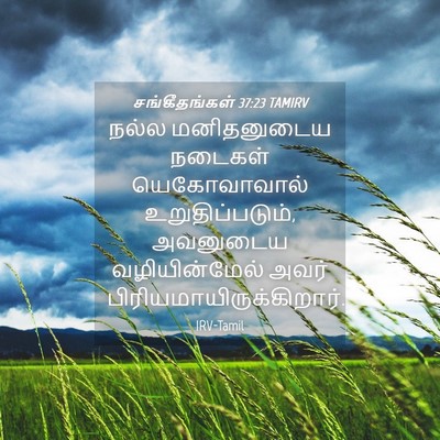 Picture 04 - சங்கீதங்கள் 37:23 TAMIRV - நல்ல மனிதனுடைய - Bible Verse Picture