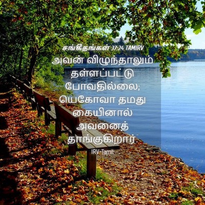 Picture 04 - சங்கீதங்கள் 37:24 TAMIRV - அவன் விழுந்தாலும் - Bible Verse Picture