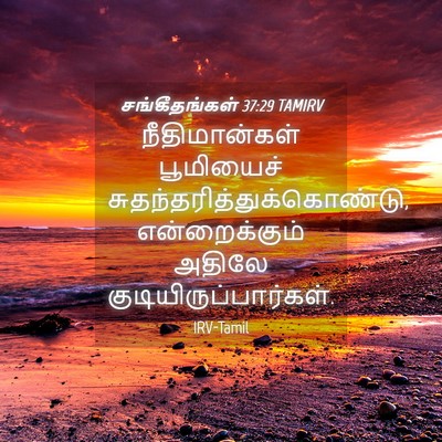 Picture 04 - சங்கீதங்கள் 37:29 TAMIRV - நீதிமான்கள் - Bible Verse Picture