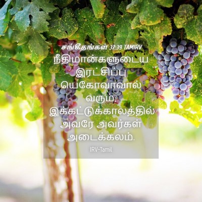 Picture 04 - சங்கீதங்கள் 37:39 TAMIRV - நீதிமான்களுடைய - Bible Verse Picture
