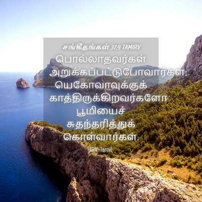 Picture 04 - சங்கீதங்கள் 37:9 TAMIRV - பொல்லாதவர்கள் - Bible Verse Picture