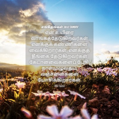 Picture 04 - சங்கீதங்கள் 38:12 TAMIRV - என் உயிரை - Bible Verse Picture
