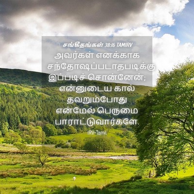 Picture 04 - சங்கீதங்கள் 38:16 TAMIRV - அவர்கள் எனக்காக - Bible Verse Picture