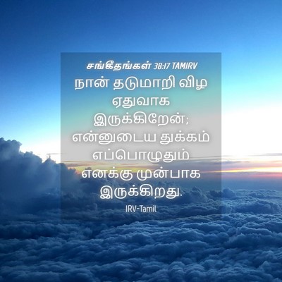 Picture 04 - சங்கீதங்கள் 38:17 TAMIRV - நான் தடுமாறி விழ - Bible Verse Picture