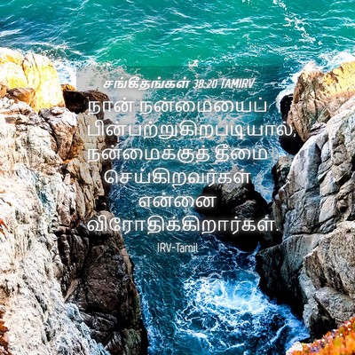 Picture 04 - சங்கீதங்கள் 38:20 TAMIRV - நான் நன்மையைப் - Bible Verse Picture