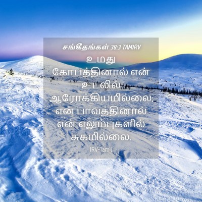 Picture 04 - சங்கீதங்கள் 38:3 TAMIRV - உமது கோபத்தினால் - Bible Verse Picture